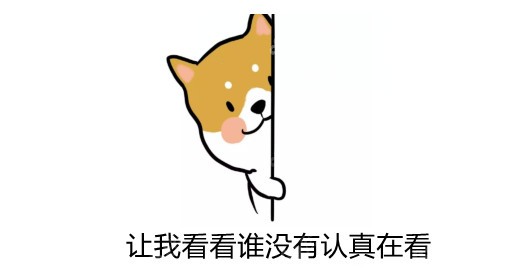 看看谁没有认真在看