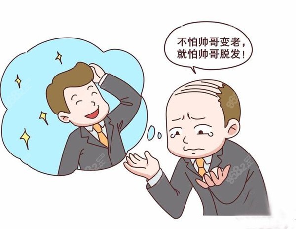 前额发际线和头顶植发需要多少钱27岁发友曾剃了平头去植