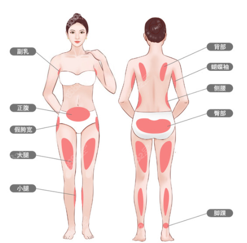 女腰部图片位置示意图图片